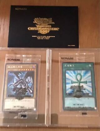 wcs 2019 真紅眼の黒龍　死者蘇生