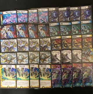 ドロマーテラスザーク　二重スリーブ付き　初心者にも