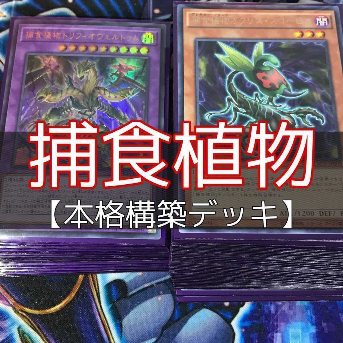 本格構築 【捕食植物】デッキ メイン＆EX15枚＆スリーブ セット 本格構築 【捕食植物】デッキ メイン＆EX15枚＆スリーブ セット