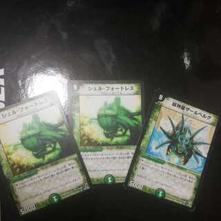 シェル・フォートレスと緑神龍ザールベルグ