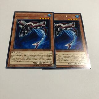 カッター・シャーク レア