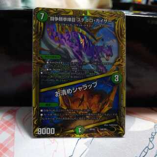 闘争類拳嘩目 ステゴロ・カイザー｜お清めシャラップ