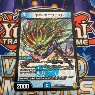 ネ申・マニフェスト