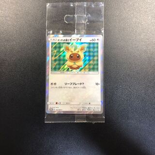 Eevee in poncho, unopened.