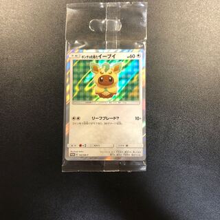 Eevee in poncho, unopened.