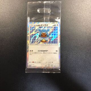 Eevee in poncho, unopened.