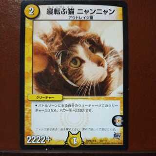 mri6756 set discount lying cat nyan nyan