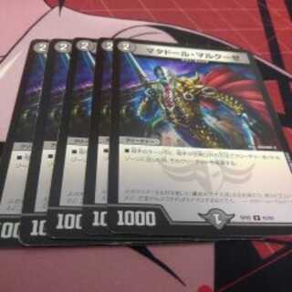 matador marquese (Chrysanthemum matadorum)