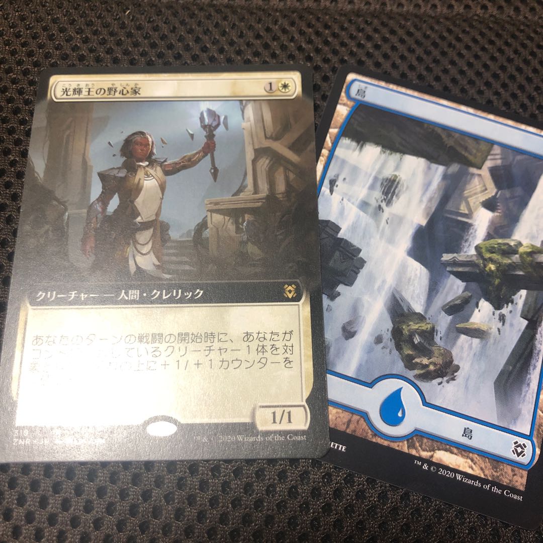 光輝王の野心家 レア