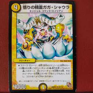 mri6836 set discount spirit of enlightenment gaga shaura