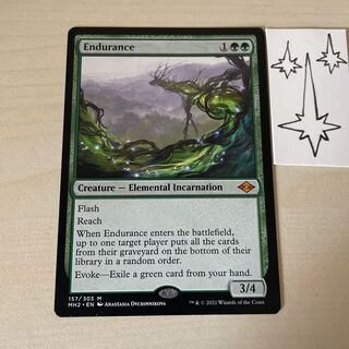MTG 忍耐 英語