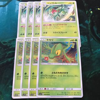 Treecko Grovyle Evolution Line 1枚