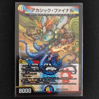 アカシック・ファイナル
