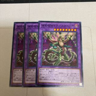 捕食植物ドラゴスタペリア ノーマル　3枚