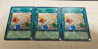 化石調査 ノーマル　３枚　特価品