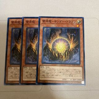 雷源龍-サンダー・ドラゴン ノーマル　3枚　特価品