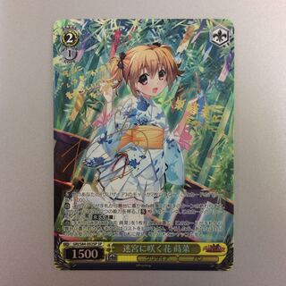 （美品）迷宮に咲く花蒔菜　SP　サイン