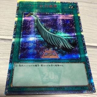 ハーピィの羽箒 20th