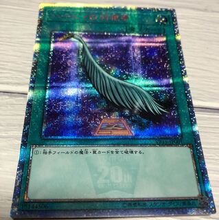 ハーピィの羽箒 20th