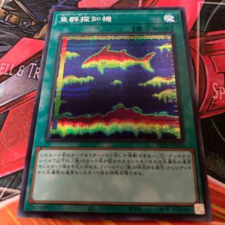 Fishfinder Secret Rare