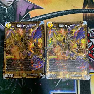 煌龍 サッヴァーク２枚