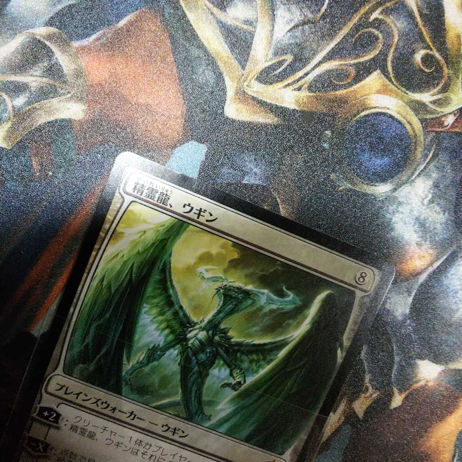 精霊龍、ウギン 日１