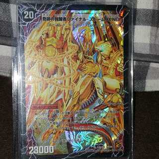 Storm Kaiser/File Storm XX