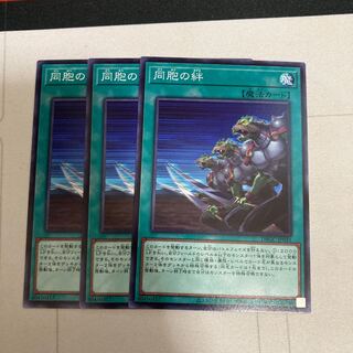 同胞の絆　ノーマル　３枚