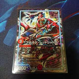 アカカゲレッドシャドウ