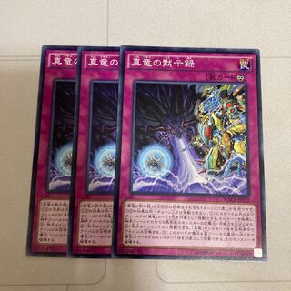 真竜の黙示録 ノーマル　3枚