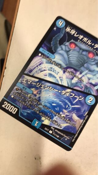 エマージェンシータイフーン