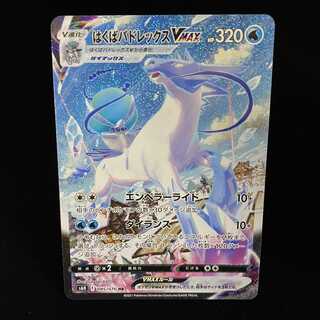 はくばバドレックスVMAX SAHR