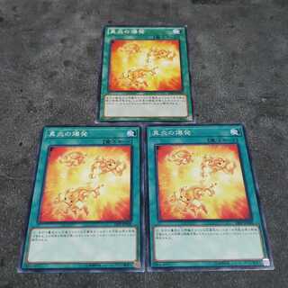 Rekindling Normal Yu-Gi-Oh Tiger Blowfish