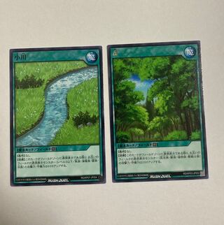 Yu-Gi-Oh Rush Duel: 1 Forest, 1 Ogawa