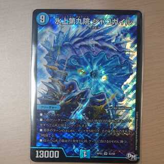 水上第九院 シャコガイル