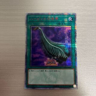 【からやん様専用】ハーピィの羽根帚