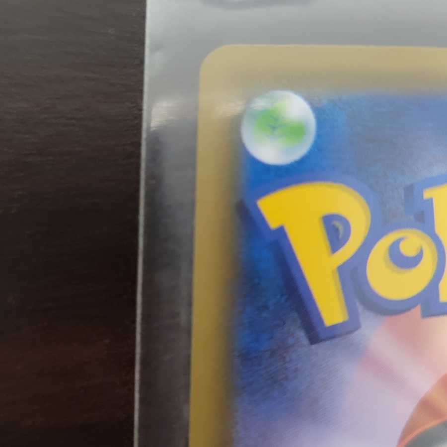 Skyla SR, beautiful.