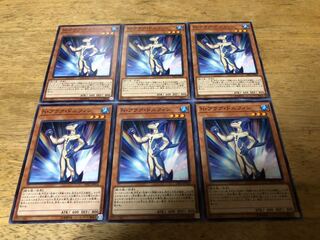 【ダボハゼ】N・アクア・ドルフィン