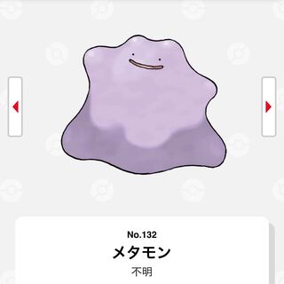 海外産6v 金冠orマスボ