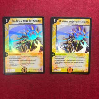 専用 アルカディアス ドイツ語 フランス語