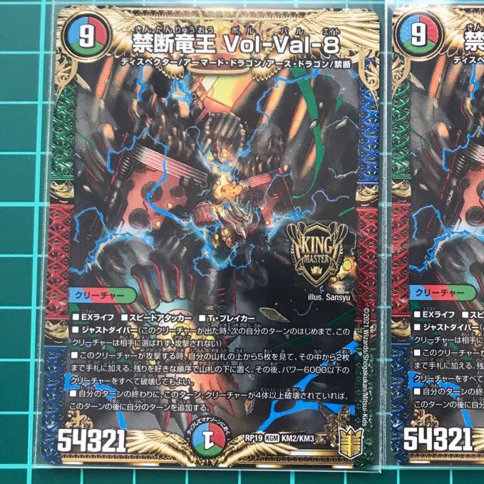 禁断竜王 Vol-Val-8 KGM 1枚