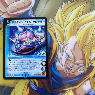 サルティンイダム・クロウラー