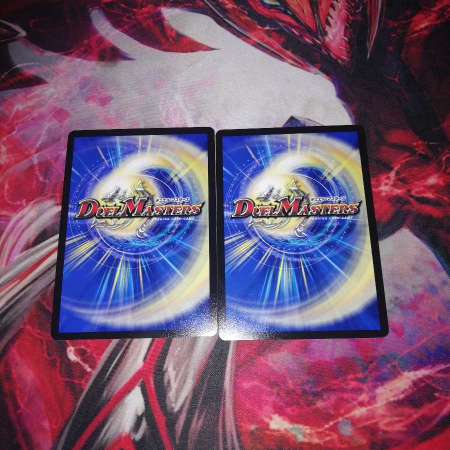 Lionzash, set of 2 2枚