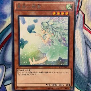 【R】裏風の精霊 1枚 SHVI-JP039