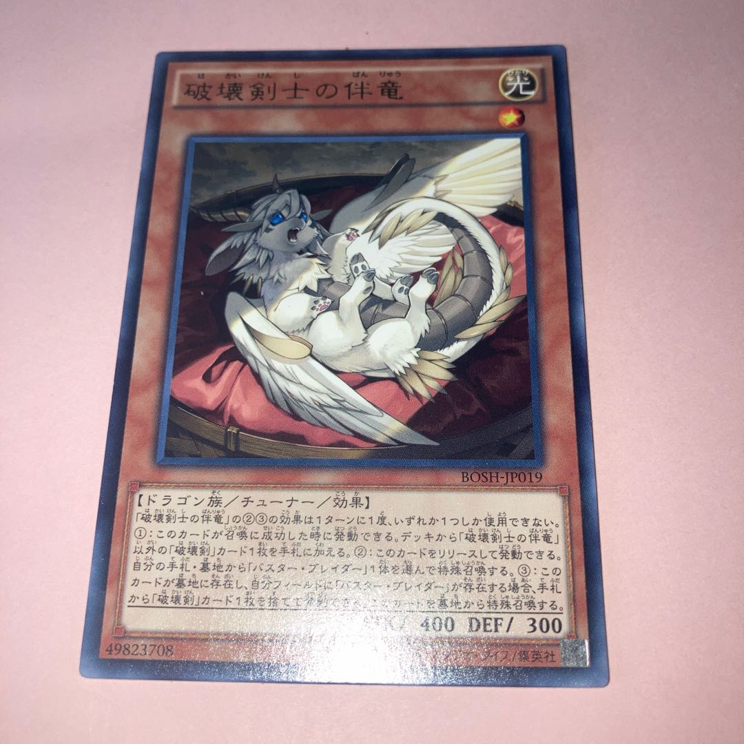 Buster Whelp of the Destruction Swordsman Rare, etc.