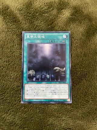 真帝王領域 ノーマル