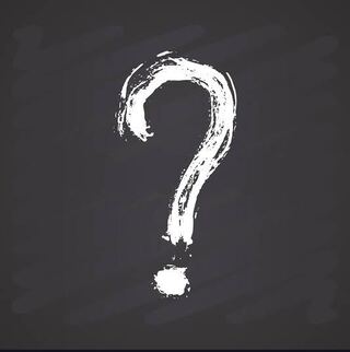 たろー様専用完全謎袋