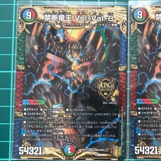 禁断竜王 Vol-Val-8 KGM 1枚