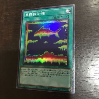 魚群探知機 スーパーレア