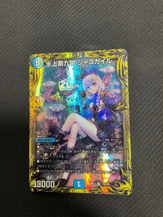 Waterjo Ninth Institute Shakogile (20th Rare Spec.)